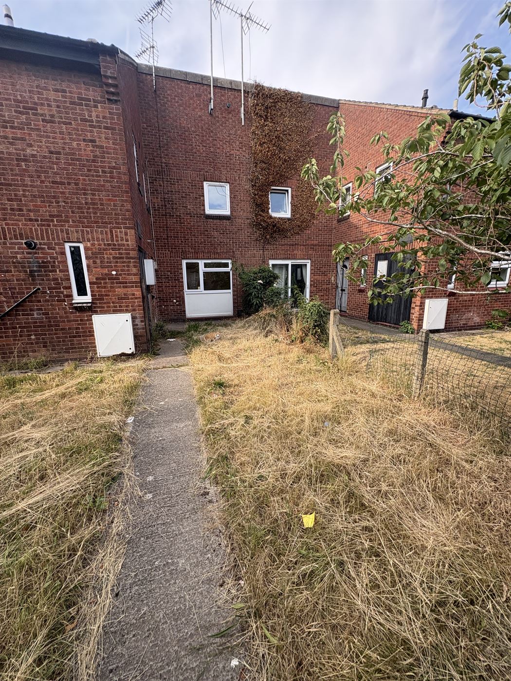Overgrown garden before strimming, waist-high dead grass and weeds