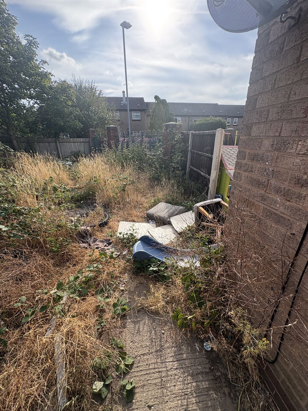 A second overgrown garden before clearance, brambles and long grass